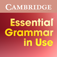 Essential Grammar in Use Activ ...